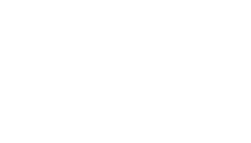 Valor Logo.