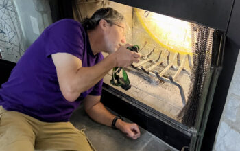 Chimney Inspection from inside Sunbury, OH